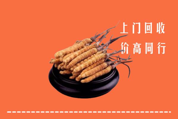 凌云县回收冬虫夏草